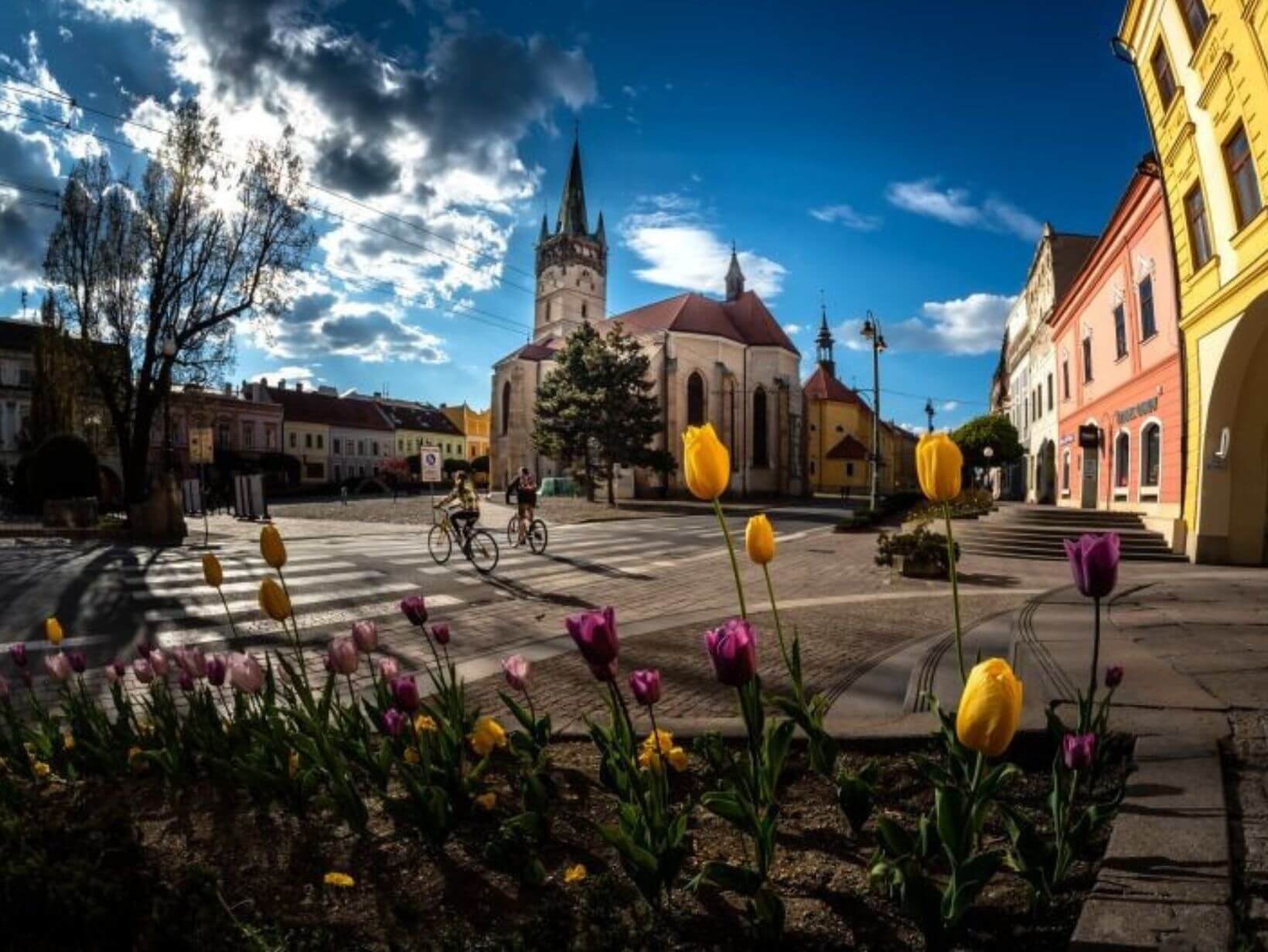 Dizajn bez názvu (1)